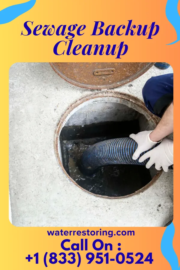 Sewage Backup Cleanup in Oronoco, MN